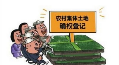 农村的空闲宅基地能否继承，解读相关法规与政策,系统化分析说明_开发版137.19