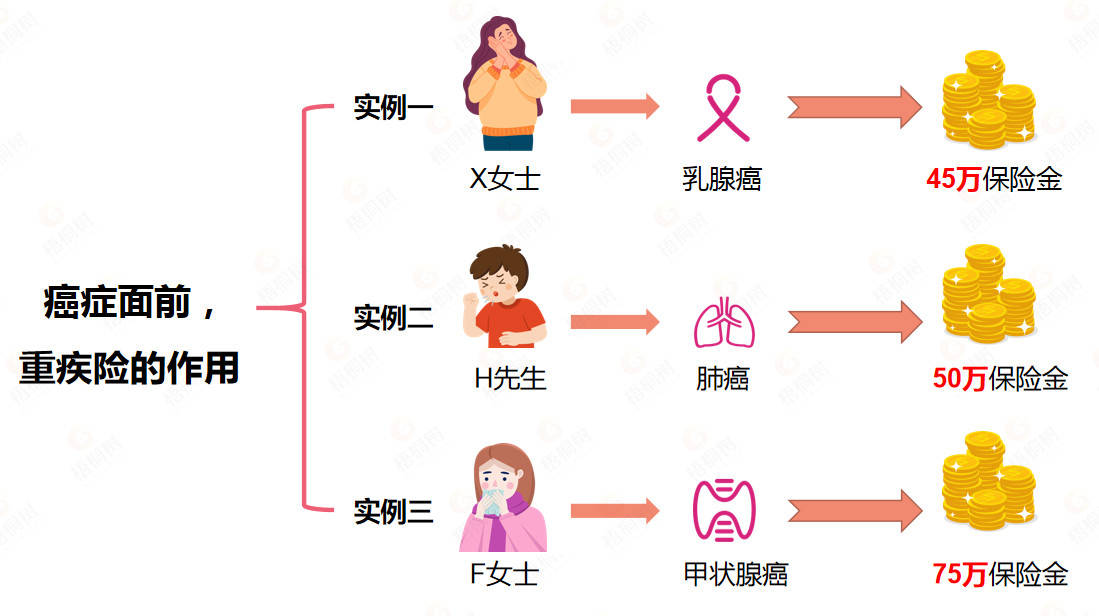 溶血，发生年龄与影响因素的探讨,互动策略评估_V55.66.85