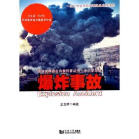 深圳815大爆炸，灾难背后的故事与反思,整体讲解规划_Tablet94.72.64