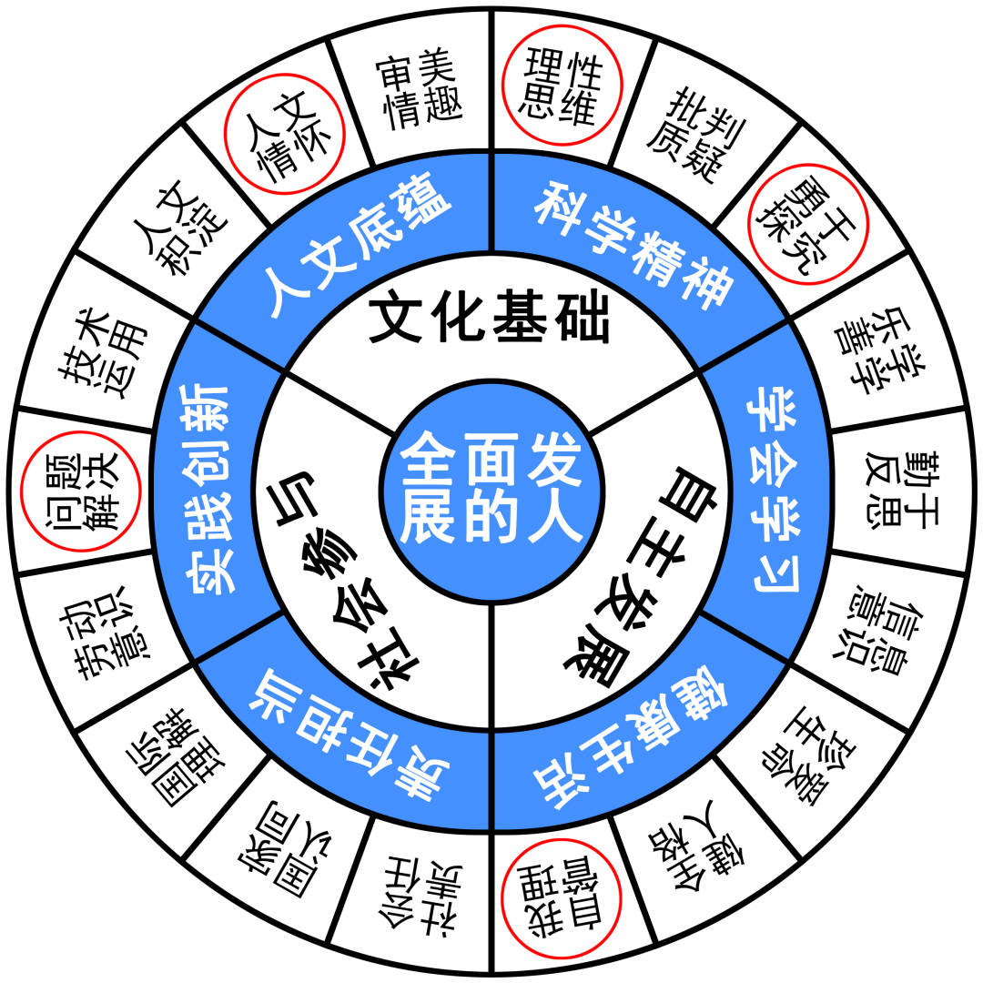 体育与体育与健康，概念、内容与目标的差异分析,科学研究解析说明_AP92.61.27