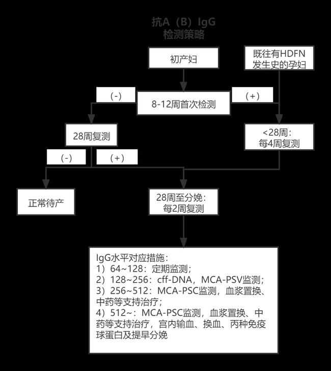 关于ABO溶血为什么发生于第一胎的原因分析,数据设计驱动策略_VR版32.60.93