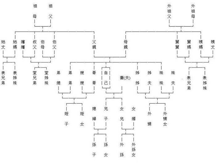 特朗普与拜登的关系