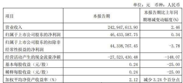 2024年一肖一码100%