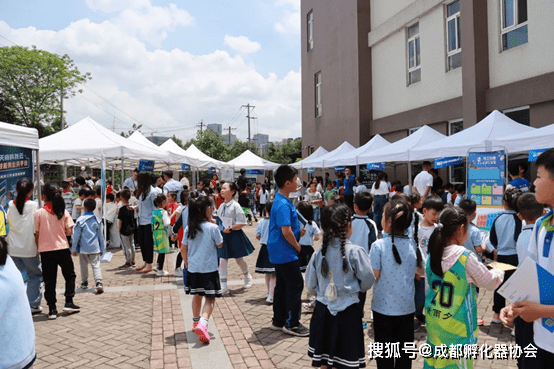 讲述彩票的电影