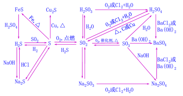 碳水化合物转化过程