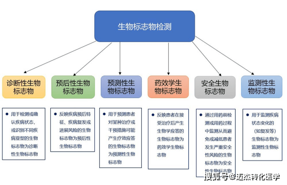 什么叫药品生物技术