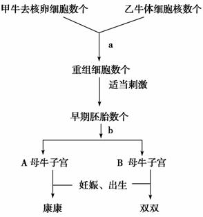 无线网卡电线