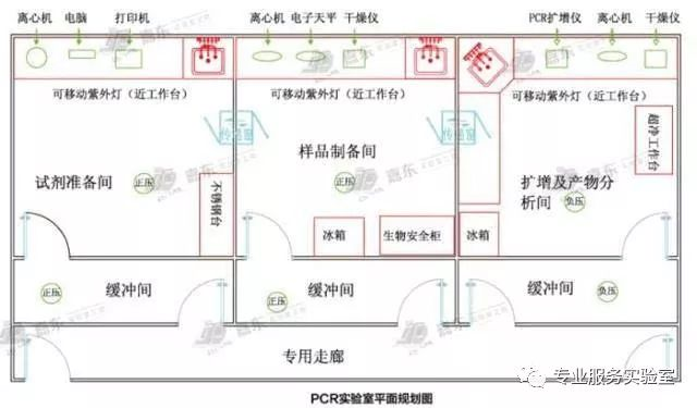 pcr扩增仪的主要作用