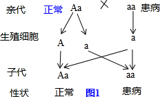 热塑性聚氨酯是pvc吗