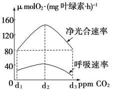 回光灯与滑石粉中硅含量的关系