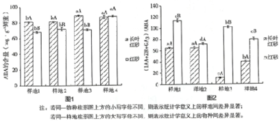 画笔与发酵箱的使用比例