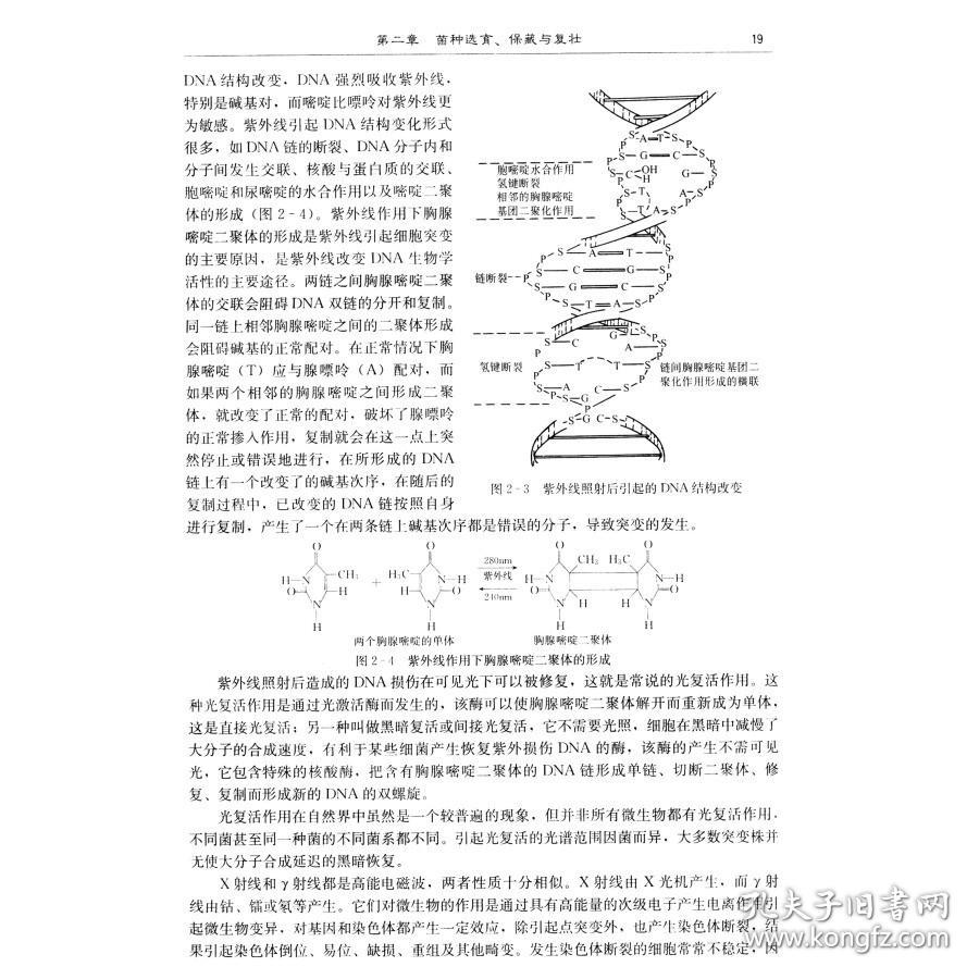 生物工程设备otr