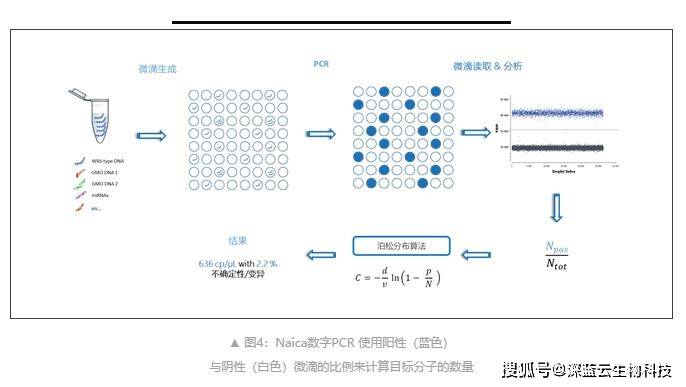 pcr扩增仪