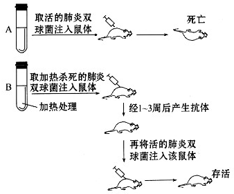 铟镓砷工作原理