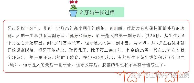 没牙的动物什么意思