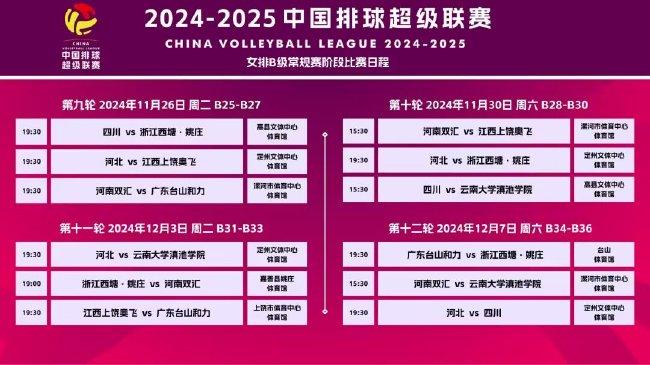 管家婆2025免费资料大全桃花岛主