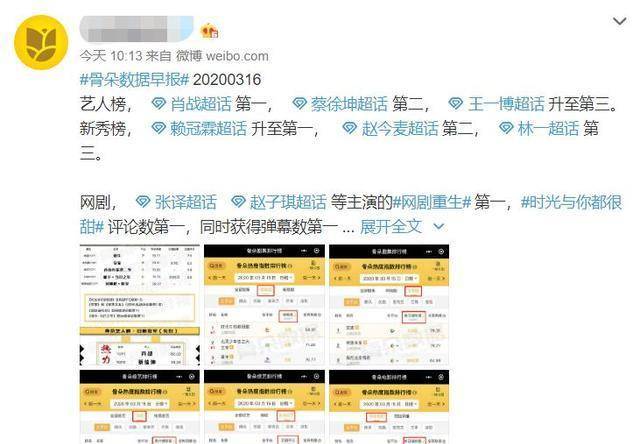 新澳门今晚必开一肖一特,实地计划验证数据_工具版24.87.31