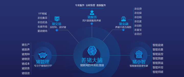 抓码王自动更新,实地考察数据设计_进阶款49.92.49