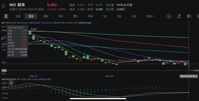 马术装备哪个品牌好