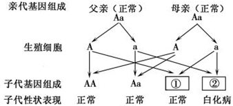 异戊二烯属于几级危险品,持久设计方案策略_LT56.84.62