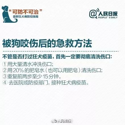 西安被狗袭击男童战略优化方案，度过危险期后续护理指引（W21.12.65）