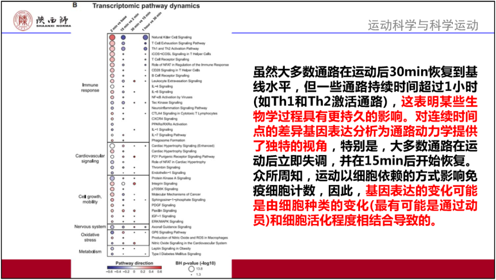 澳门正版资料免费阅读,理论依据解释定义_Plus75.35.51