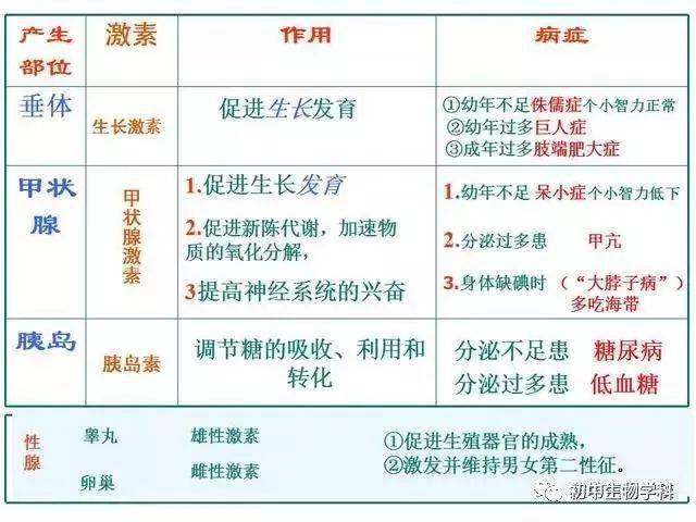 2025新澳三期必出三生肖,重要性解释定义方法_Galaxy18.83.66