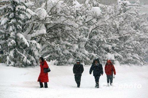 日本东北部遭遇十年一遇大雪