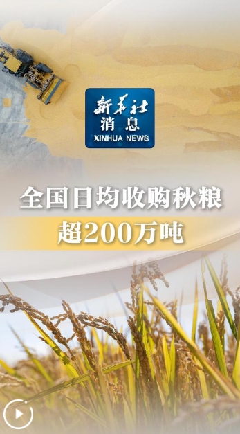 全国日均收购秋粮超200万吨