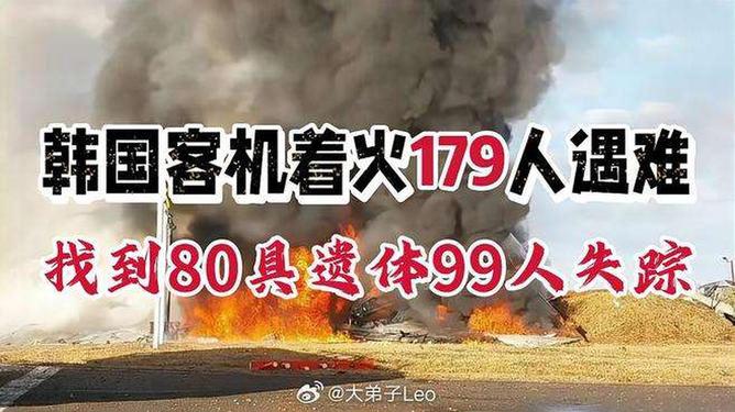 韩国客机着火找到80具遗体99人失踪