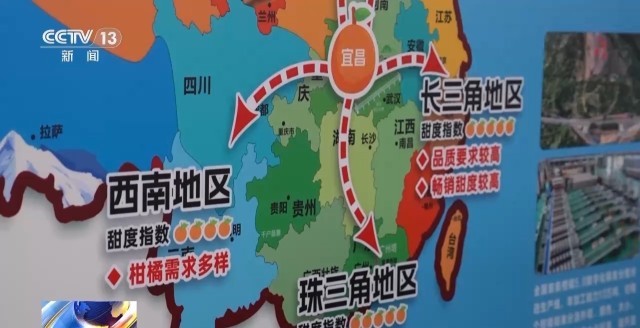 跟着“甜度地图”让甜蜜走向世界