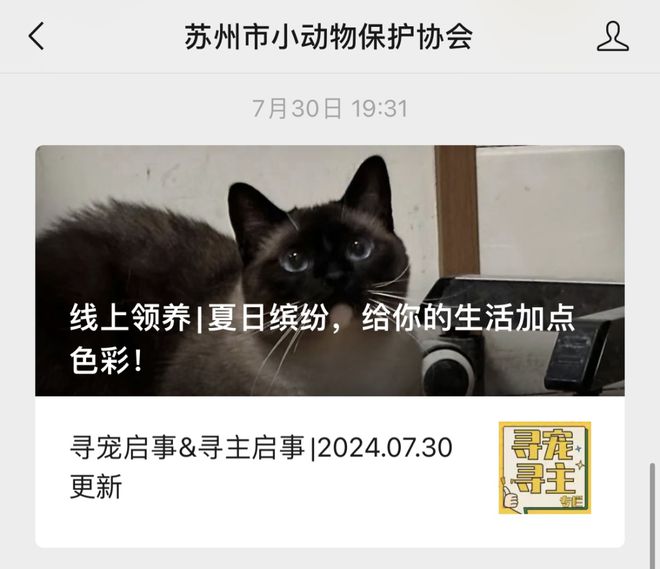 领养猫咪花1.4万后拒付猫贷被告