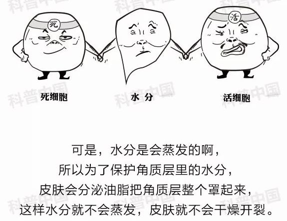 每到冬天就长倒刺是为什么？