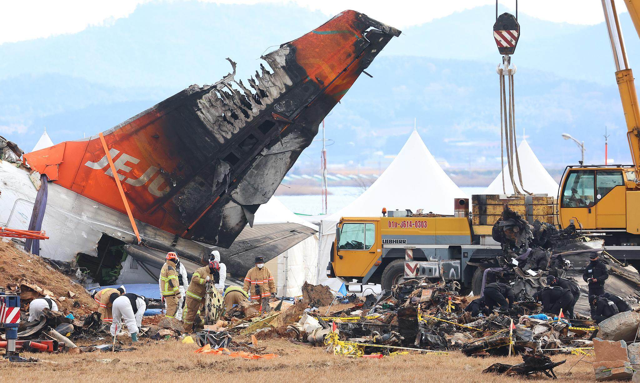 日本北海道一沙滩现大量死鱼