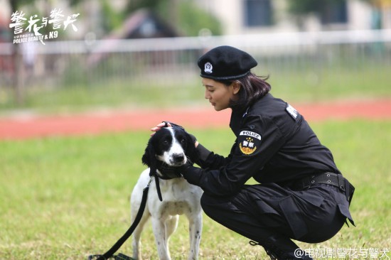 4只警犬上班没精神被通报