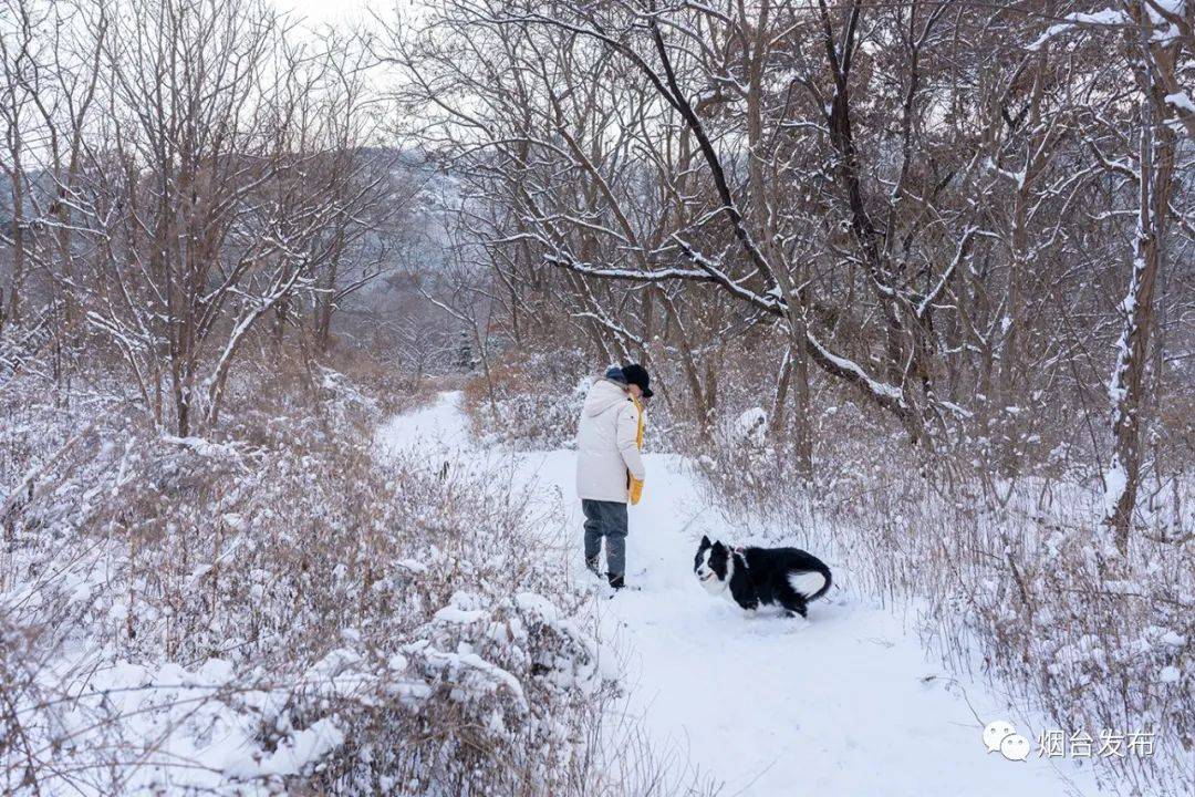 烟台再次开启雪窝模式