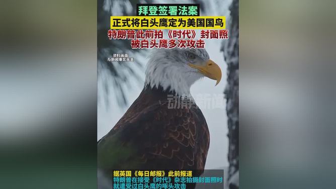 白头鹰被正式指定为美国国鸟