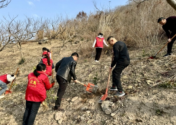 记者调查山东惠民超百亩地被挖坑取土